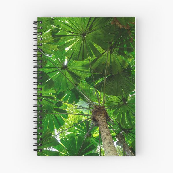 Item preview, Australian Fan Palm (Licuala) 2 designed and sold by Kate Powick.