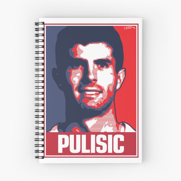 Item preview, Pulisic - USA designed and sold by DFA.