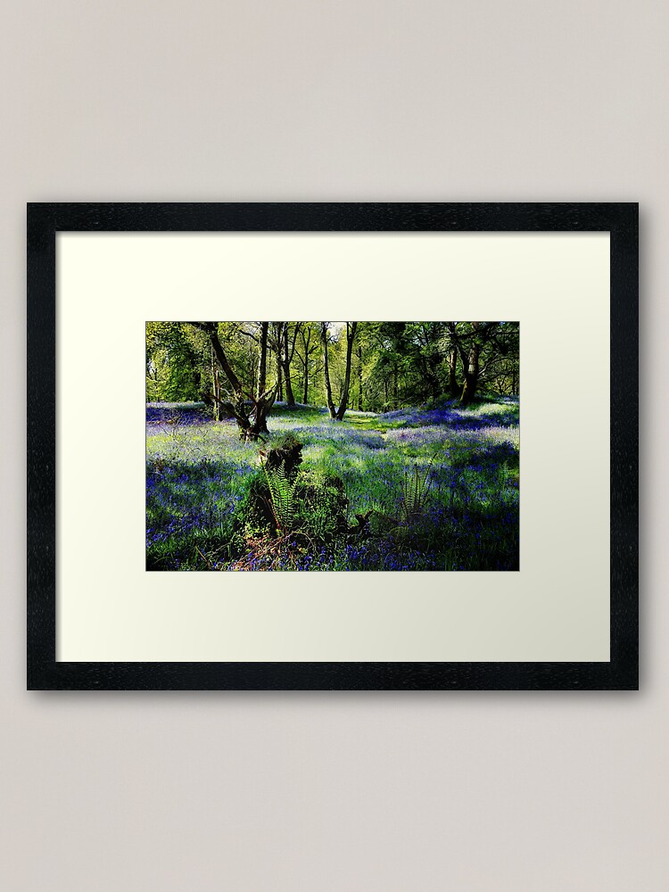 Thumbnail 1 of 7, Framed Art Print, CARSTRAMON SPRING designed and sold by Coigach.