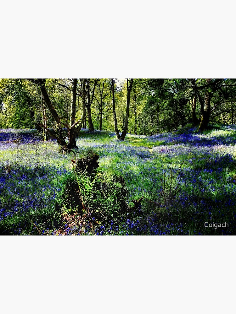 Thumbnail 7 of 7, Framed Art Print, CARSTRAMON SPRING designed and sold by Coigach.