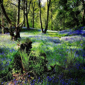 Artwork thumbnail, CARSTRAMON SPRING by Coigach
