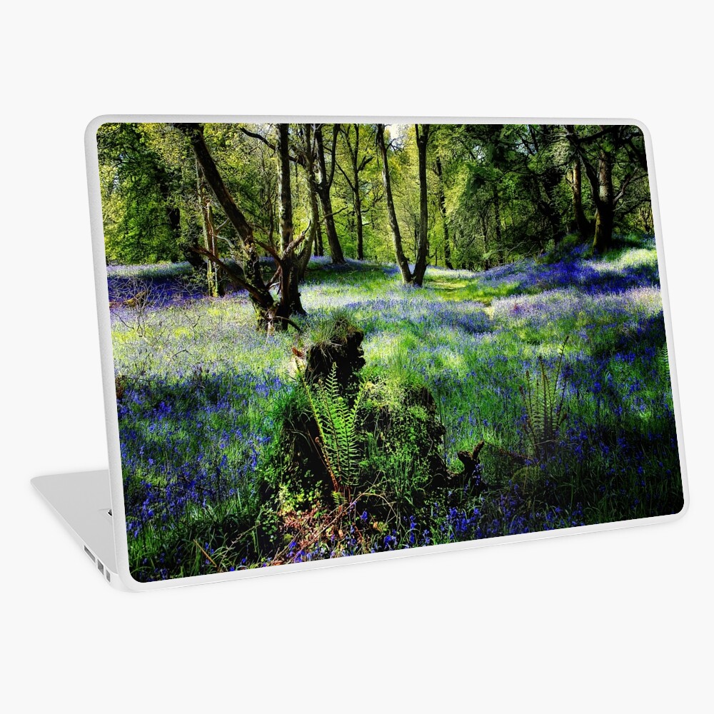 Item preview, Laptop Skin designed and sold by Coigach.