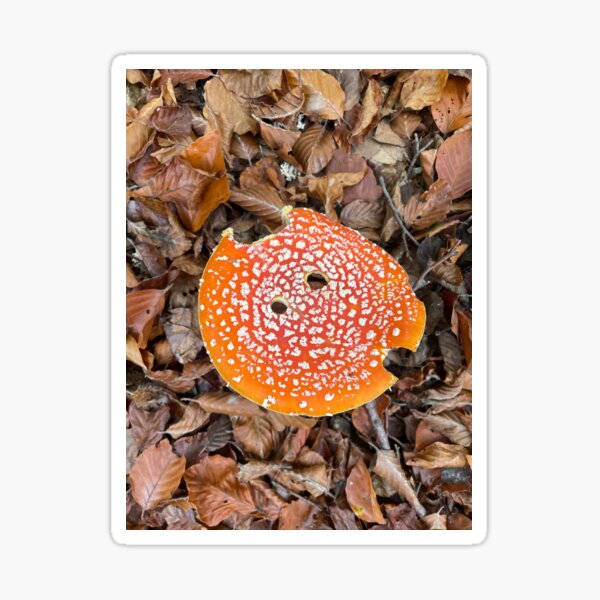 Item preview, Toadstool designed and sold by DanjaArt.