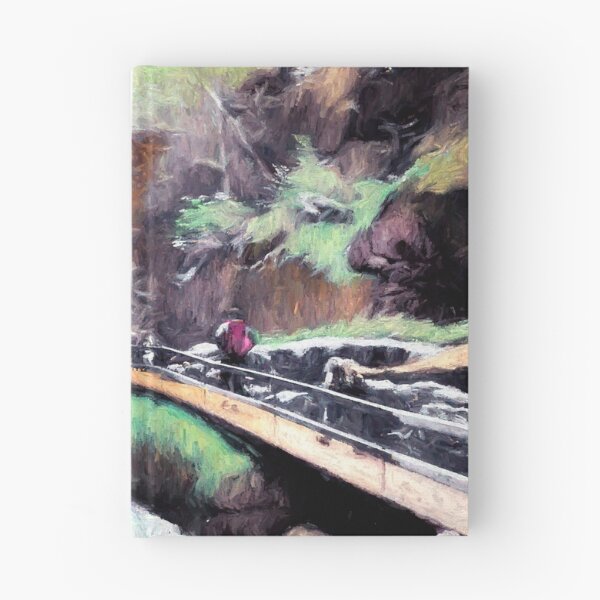 Item preview, Flume Walk designed and sold by Wayne King.