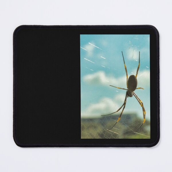 Item preview, Spider designed and sold by beerman70.