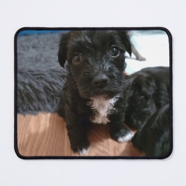 Item preview, Another Stormy puppy  designed and sold by MaryMP86.