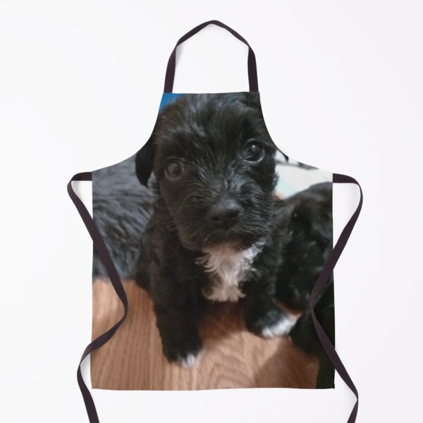 Item preview, Another Stormy puppy designed and sold by MaryMP86.