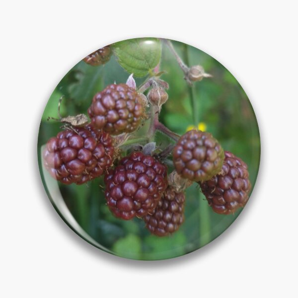 Artikelvorschau, Blackberry-Foto entworfen und verkauft von Sky-99.