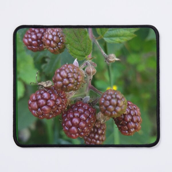 Item preview, Blackberry Photo designed and sold by Sky-99.