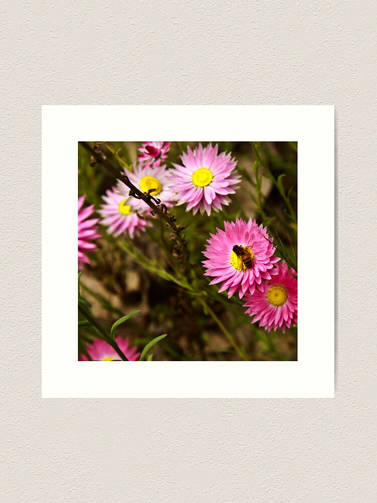 Thumbnail 2 of 3, Art Print, Bee on everlasting designed and sold by Andreas Koepke.
