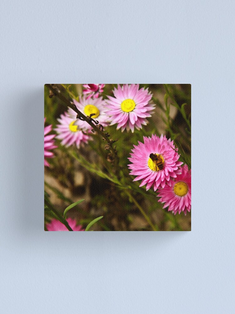 Alternate view of Bee on everlasting Canvas Print