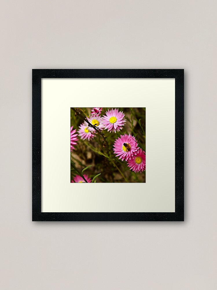 Alternate view of Bee on everlasting Framed Art Print
