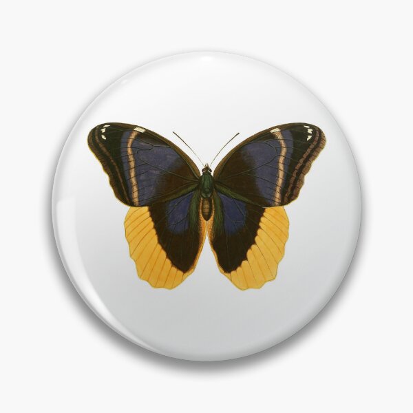 Item preview, Brush-Footed Butterfly designed and sold by jimonym.