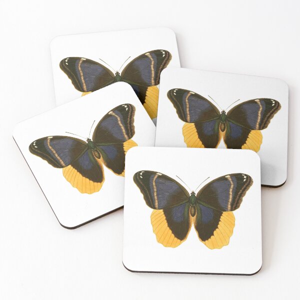 Item preview, Brush-Footed Butterfly designed and sold by jimonym.