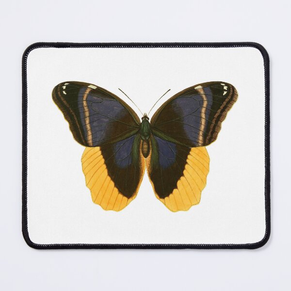 Item preview, Brush-Footed Butterfly designed and sold by jimonym.