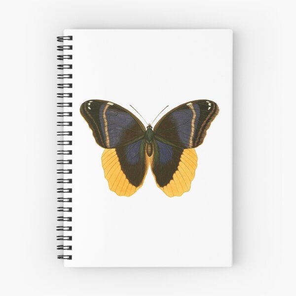 Item preview, Brush-Footed Butterfly designed and sold by jimonym.