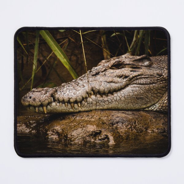 Item preview, Mother Bruce, North Queensland Resident designed and sold by Geoff Treagus.