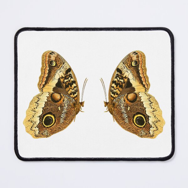 Item preview, Giant Owl Butterflies designed and sold by jimonym.