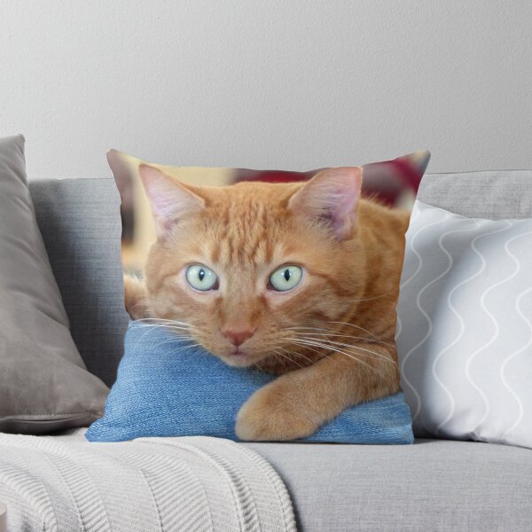 Item preview, Frankie designed and sold by Frankie Cat Photography.