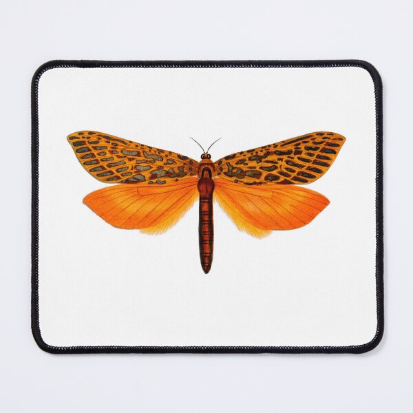Item preview, Leto Venus Moth designed and sold by jimonym.