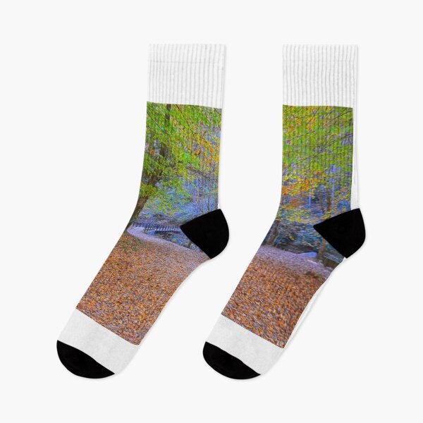 Item preview, Hiking Through Autumn In The Great Smoky Mountains National Park designed and sold by LisaWootenPhoto.