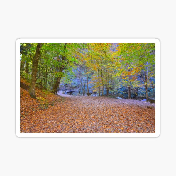 Item preview, Hiking Through Autumn In The Great Smoky Mountains National Park designed and sold by LisaWootenPhoto.