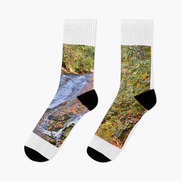 Item preview, Indian Creek Falls Great Smoky Mountains National Park designed and sold by LisaWootenPhoto.