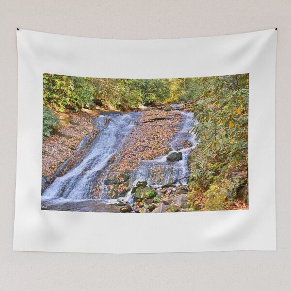 Item preview, Indian Creek Falls Great Smoky Mountains National Park designed and sold by LisaWootenPhoto.