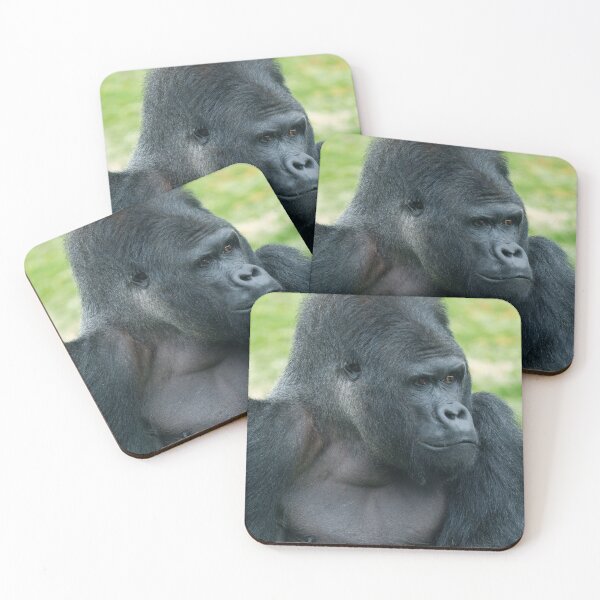 Item preview, Captivating Silverback Dishi Close-Up designed and sold by rawshutterbug.