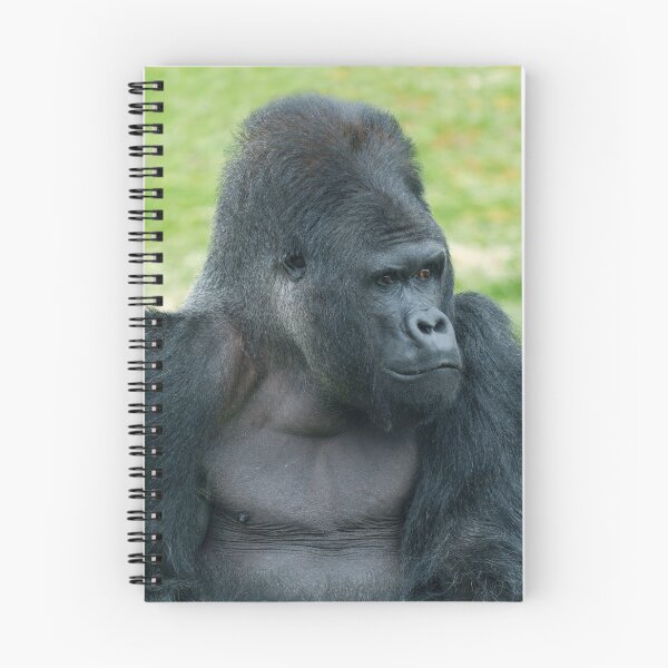 Item preview, Captivating Silverback Dishi Close-Up designed and sold by rawshutterbug.