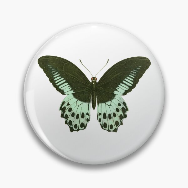 Item preview, Green Mormon Butterfly designed and sold by jimonym.