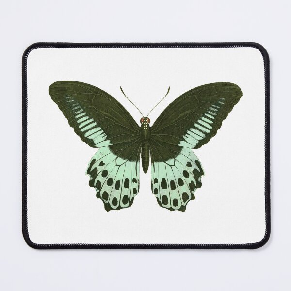 Item preview, Green Mormon Butterfly designed and sold by jimonym.