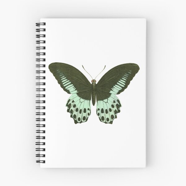 Item preview, Green Mormon Butterfly designed and sold by jimonym.