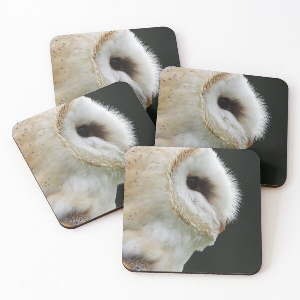 Item preview, Barn owl side view designed and sold by derbyshireduck.