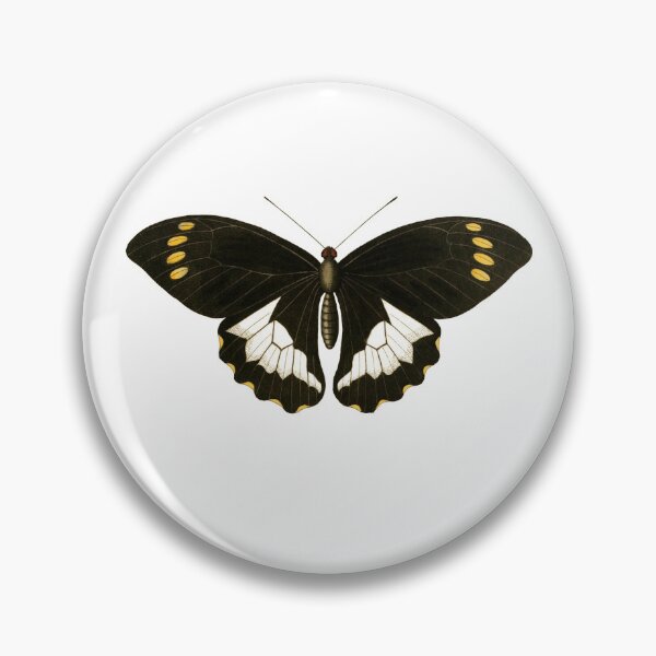 Item preview, Moluccas Swallowtail designed and sold by jimonym.