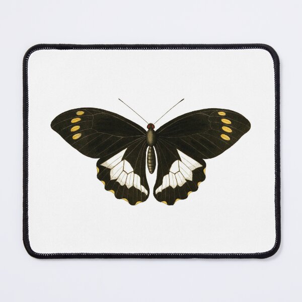 Item preview, Moluccas Swallowtail designed and sold by jimonym.