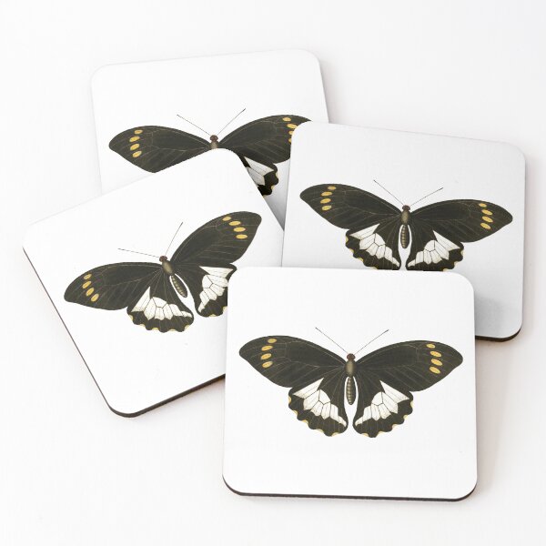 Item preview, Moluccas Swallowtail designed and sold by jimonym.