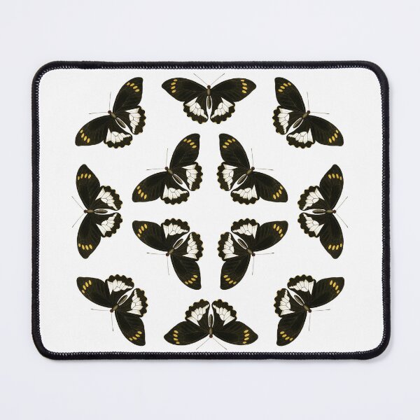 Item preview, Moluccas Swallowtails designed and sold by jimonym.