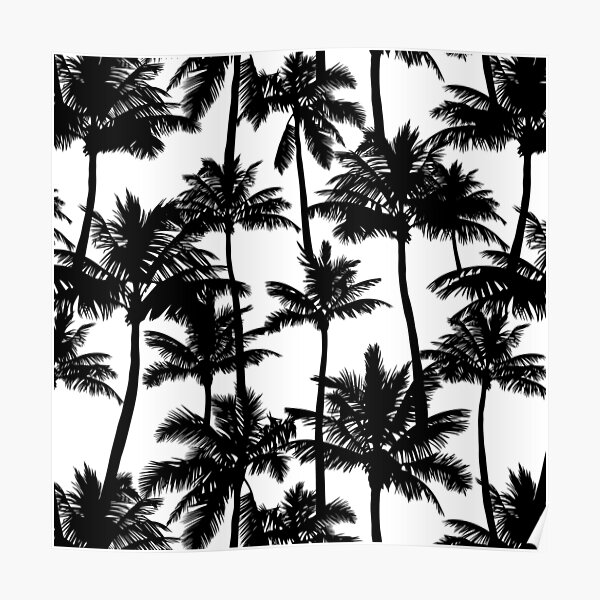 Black palm trees on white background. Poster