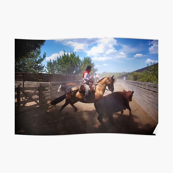 The Rancher Poster