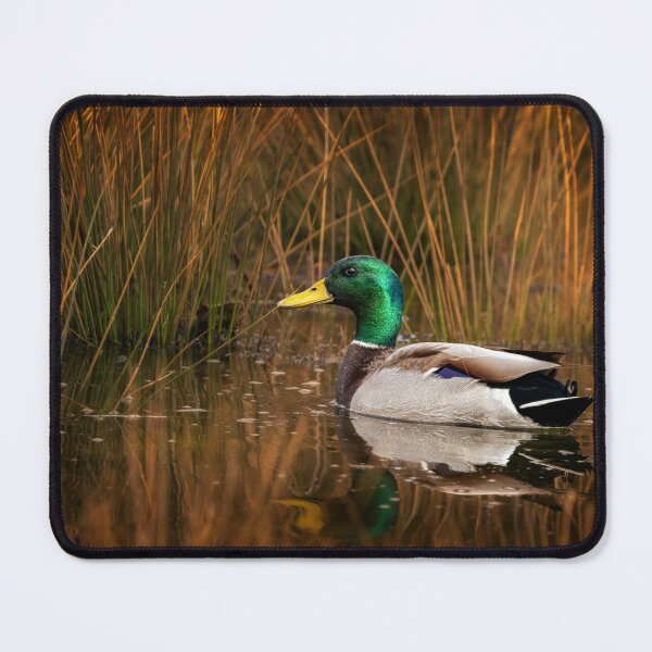 Item preview, Mallard designed and sold by Jim Love.