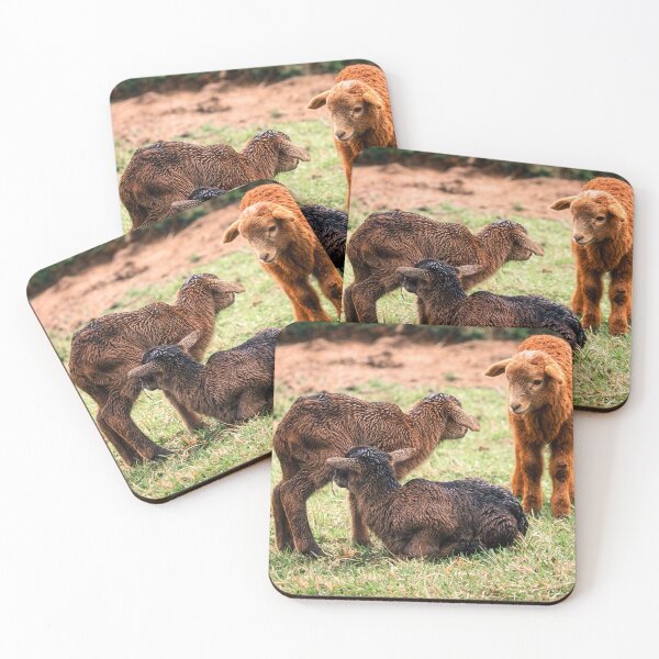 Item preview, Greeting The New Arrivals designed and sold by Jim Love.