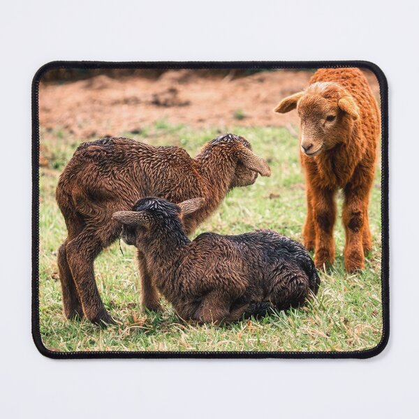 Item preview, Greeting The New Arrivals designed and sold by Jim Love.