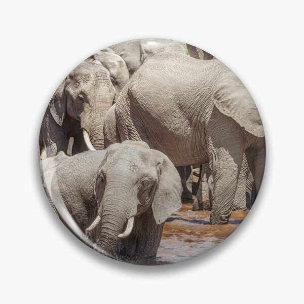 Item preview, Elephants Start to Cross the River 2 Masai Mara Kenya designed and sold by PhotoArt by Joan Carroll.