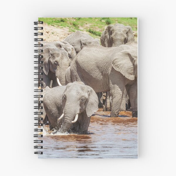 Item preview, Elephants Start to Cross the River 2 Masai Mara Kenya designed and sold by PhotoArt by Joan Carroll.