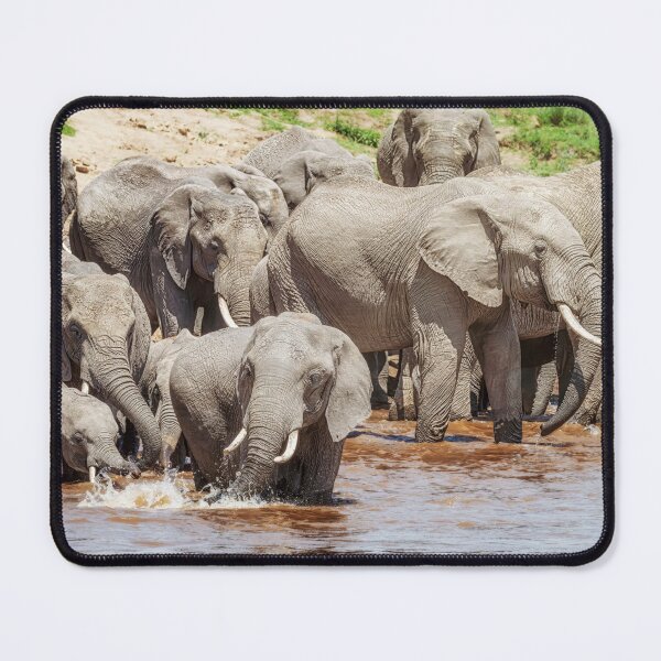 Item preview, Elephants Start to Cross the River 2 Masai Mara Kenya designed and sold by PhotoArt by Joan Carroll.