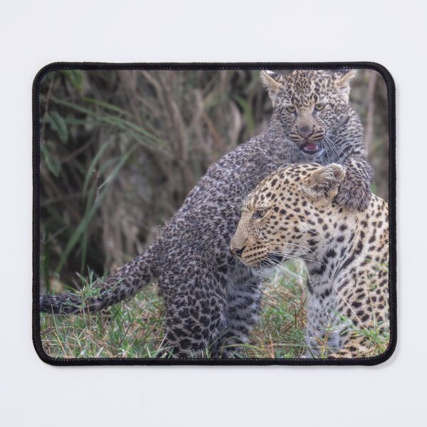 Item preview, Sneak Attack on Mom designed and sold by PhotoArt by Joan Carroll.