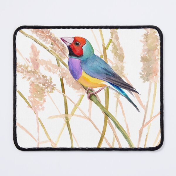Item preview, Gouldian Finch designed and sold by surenart.