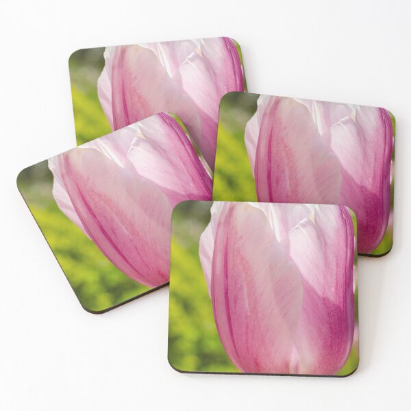 Item preview, Backlit single lavender and white tulip designed and sold by lisavonbiela.