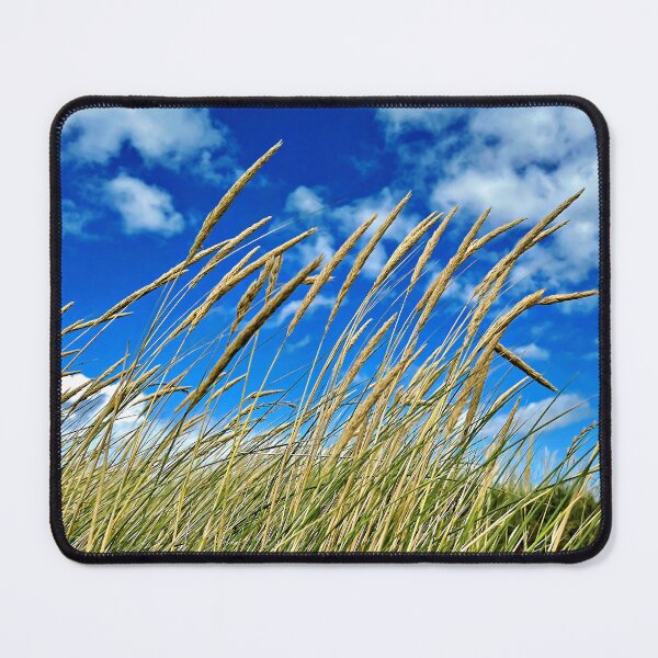 Item preview, Blades of grass against a blue sky – the simple beauty of nature designed and sold by beatbieri.ch.